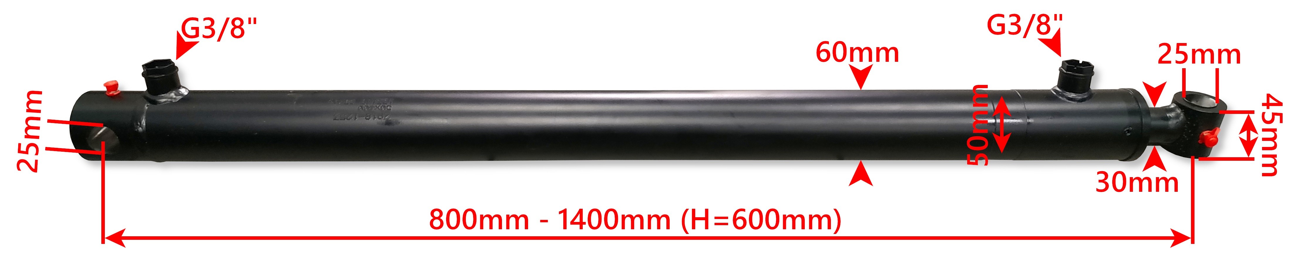 7289.jpg?time=1572273048986